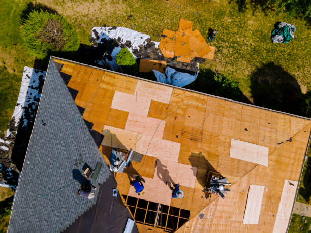 Best Roof Maintenance Services  in Prairie Village, KS